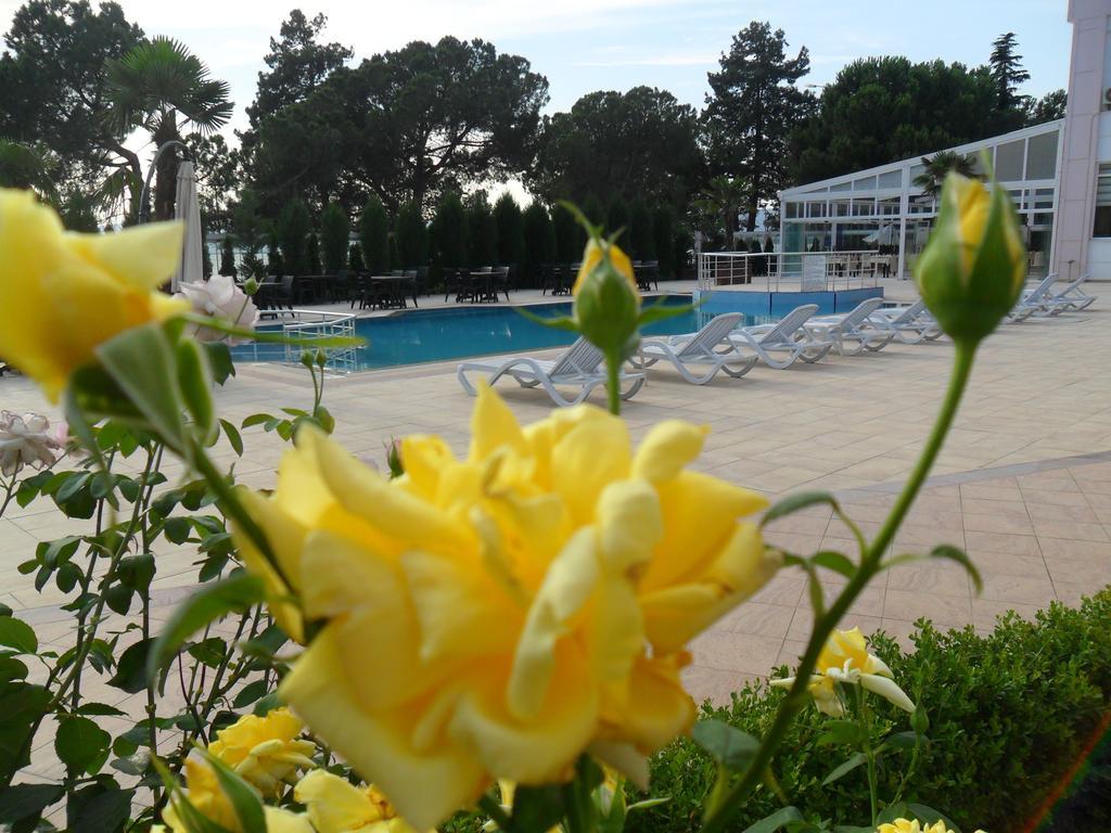 İznik Grand Nicea Hotel חדר תמונה